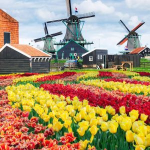 Olanda