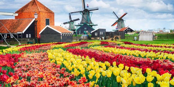 Olanda